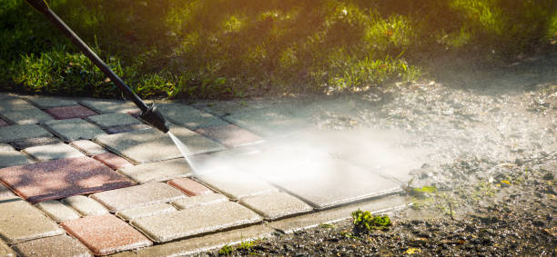 Animal Enclosure Cleaning in La Follette, TN